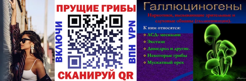 Галлюциногенные грибы прущие грибы  блэк спрут ссылки  Кореновск 